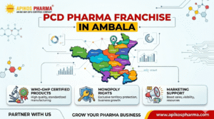 PCD Pharma Franchise in Ambala